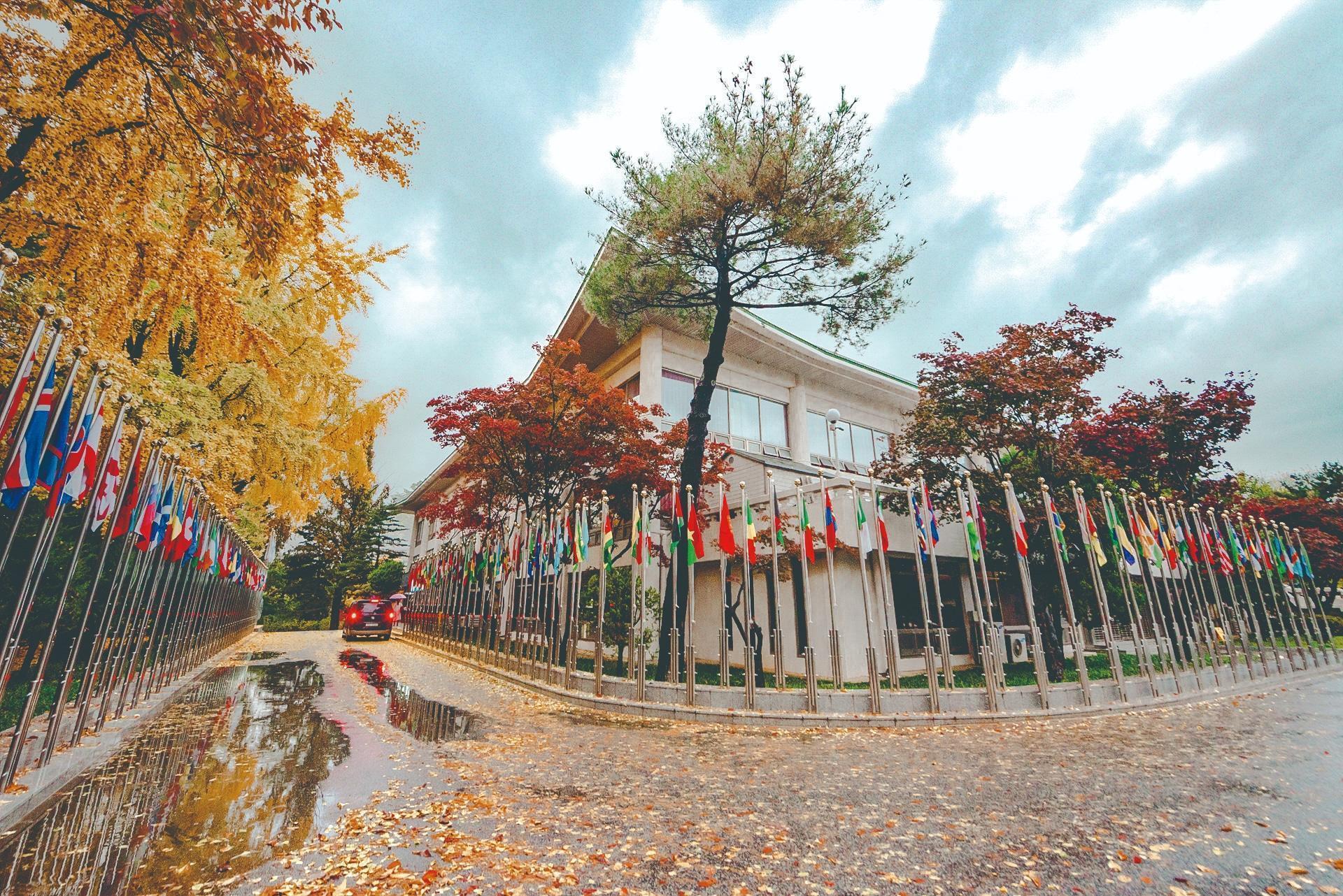 국기원태권도에 깃든 한국의 문화