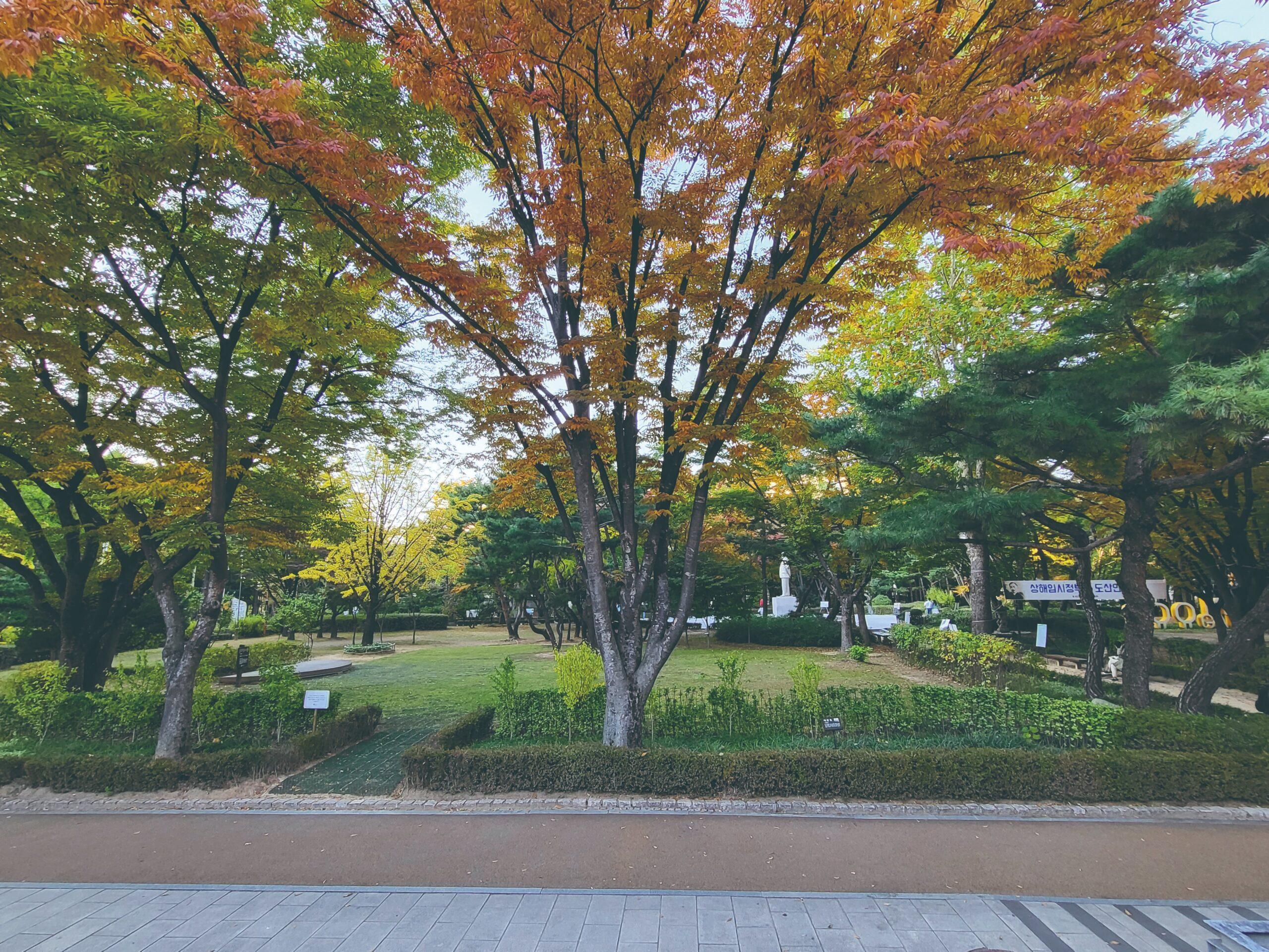 Dosan Park Urban Green Space to Unwind in Apgujeong 3