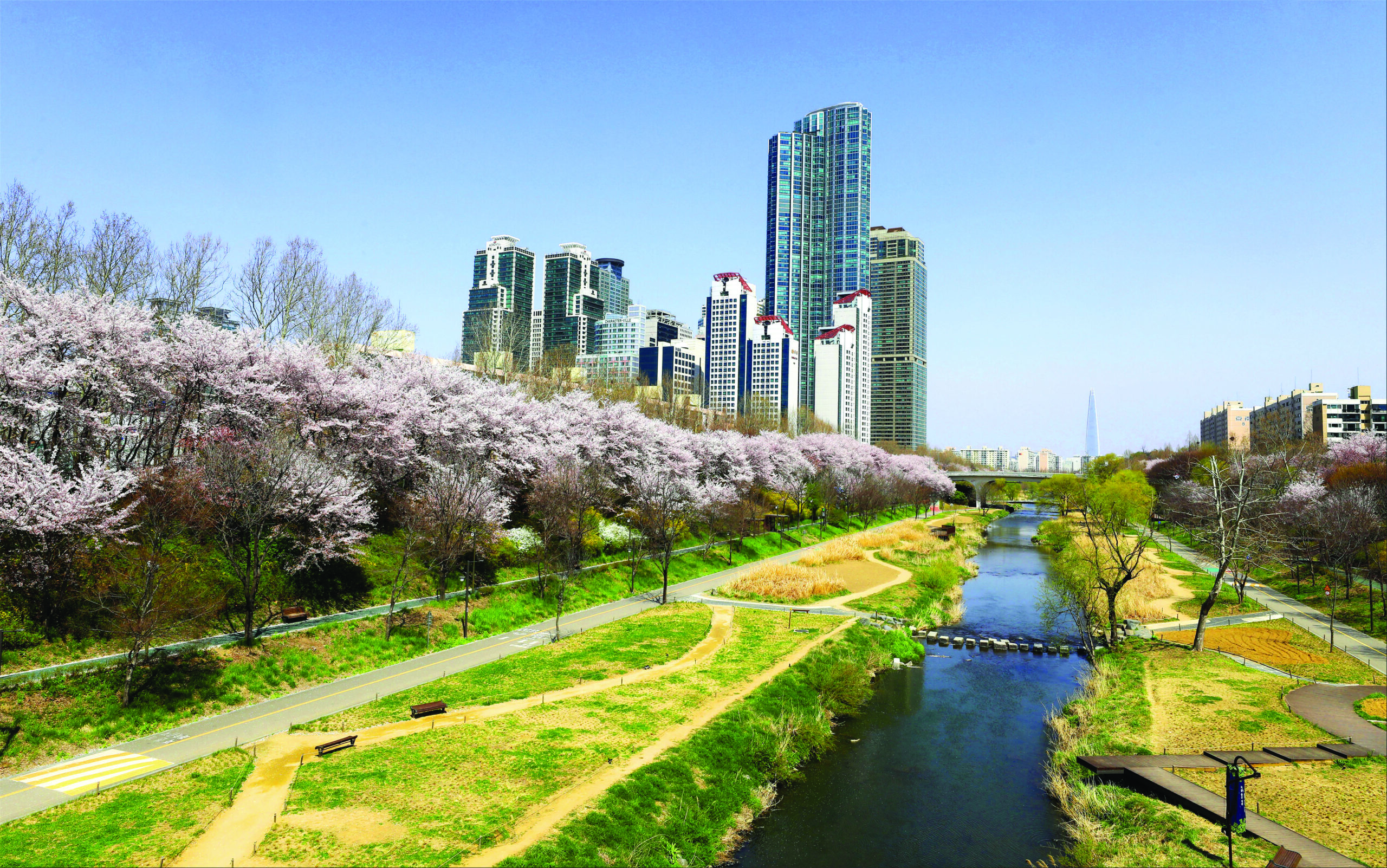 Yangjaecheon & Tancheon Embankment Path 2